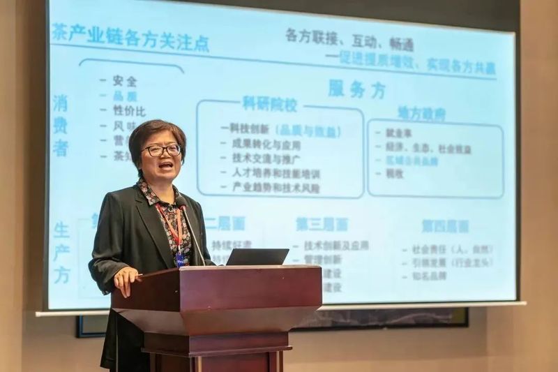 关于“才聚畲乡”景宁人才科技周活动—惠明茶产业高质量发展圆桌会在景宁举办的消息(4)