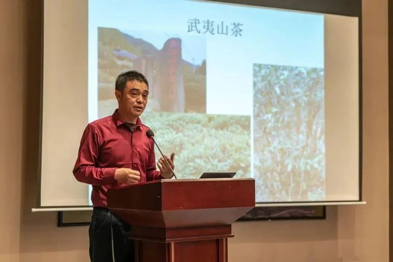 关于“才聚畲乡”景宁人才科技周活动—惠明茶产业高质量发展圆桌会在景宁举办的消息(6)