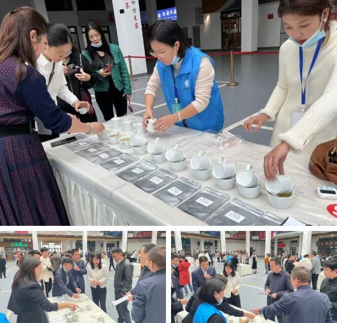 有关于“双项”茶叶赛事加持，这个白茶产区背后有哪些支撑点？的内容(6)