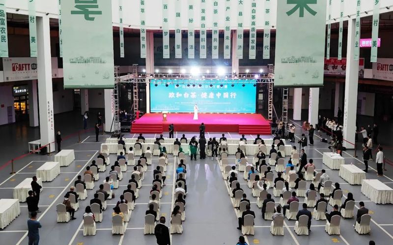 有关于“双项”茶叶赛事加持，这个白茶产区背后有哪些支撑点？的内容