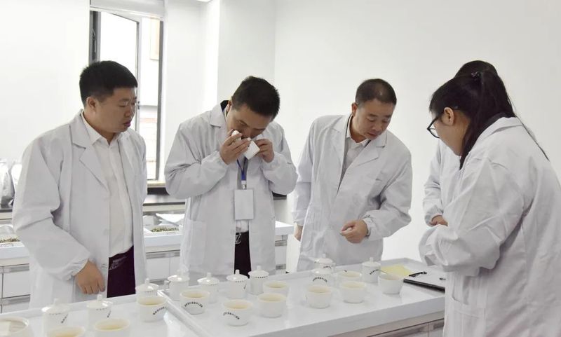 有关于“双项”茶叶赛事加持，这个白茶产区背后有哪些支撑点？的内容(7)