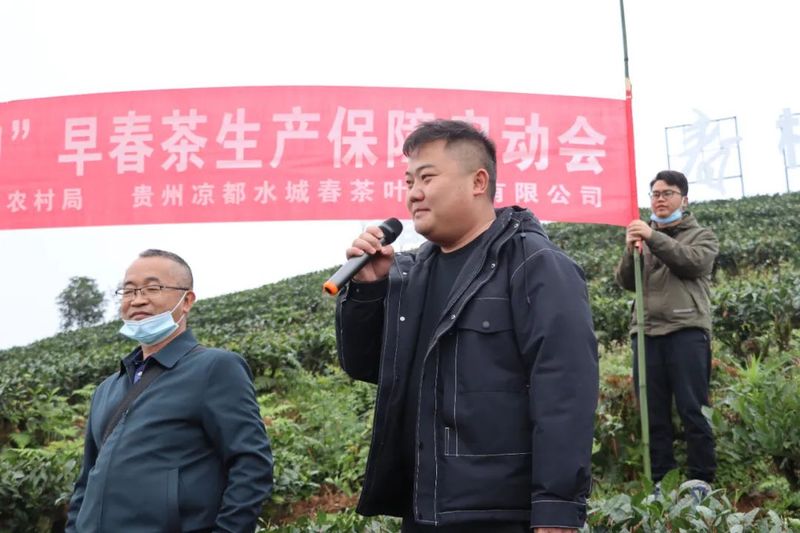有关于凉都水城春召开“万元田”早春茶生产保障启动会的资讯