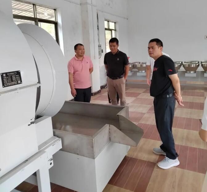关于广西茶科所专家到妙皇乡深入古琶茶园指导古琶茶产业发展的资讯(1)