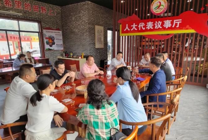 关于广西茶科所专家到妙皇乡深入古琶茶园指导古琶茶产业发展的资讯(3)