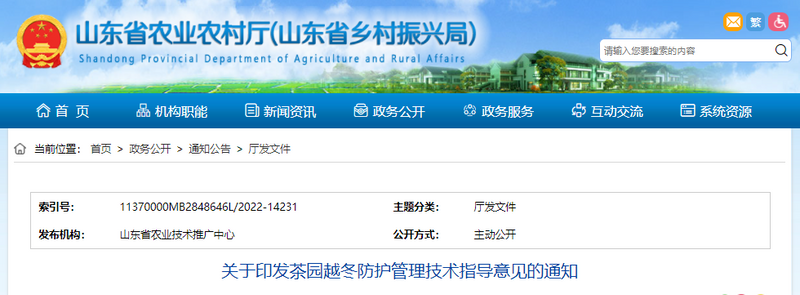 关于山东省农业农村厅印发《茶园越冬防护管理技术指导意见》的相关内容