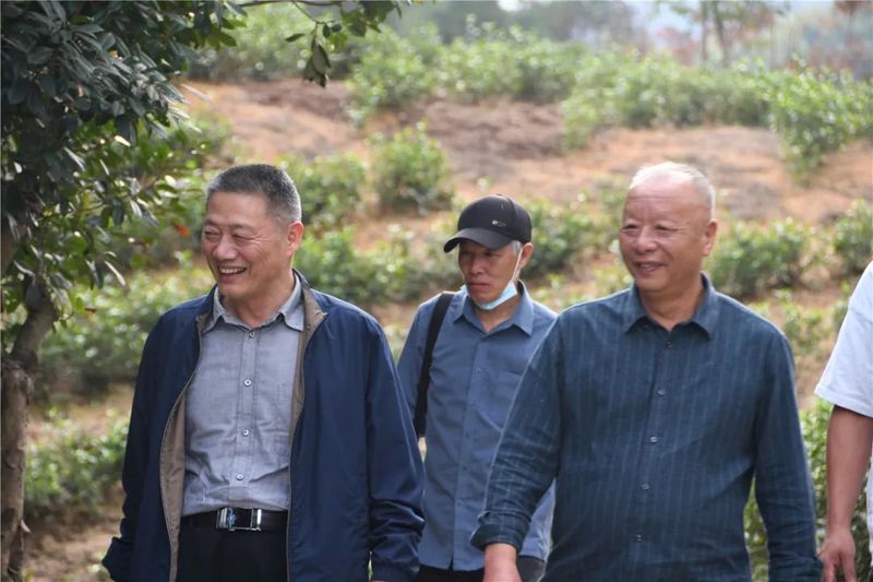 有关于茶企茶庄园数字化建设考察交流会在武义县举行的相关信息(2)