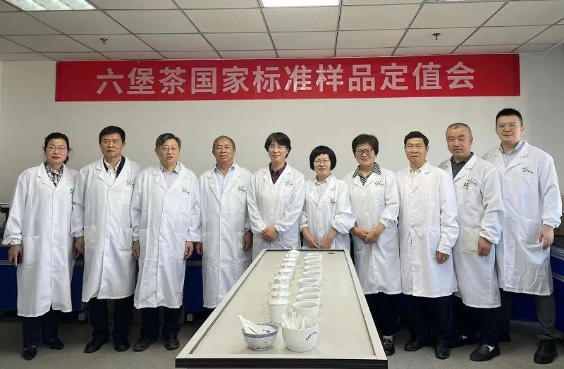 关于六堡茶国家标准样品定值会在杭州顺利召开的相关信息(1)