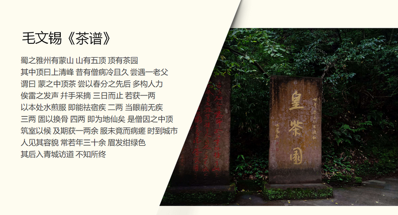 有关于“蒙顶山茶”大讲堂开讲啦！的资讯(6)
