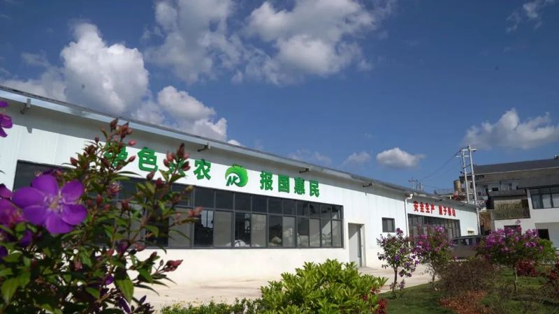 有关于思茅区倚象镇：绿色有机茶“沏”出致富路的内容(5)