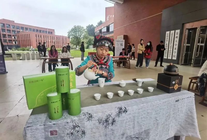 关于书香茶香交融！贵州大学茶学院打造“贵州绿茶”校园多功能展示体验区的信息(1)