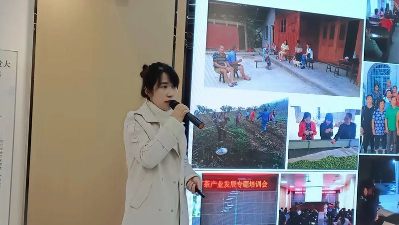 关于书香茶香交融！贵州大学茶学院打造“贵州绿茶”校园多功能展示体验区的信息(10)