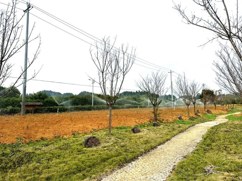 关于湄潭：建设茶树良种资源圃，完善现代茶业体系！的资讯