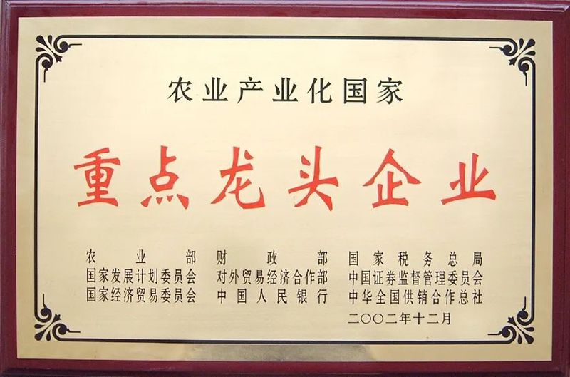 有关于技行绍兴 创造未来”技能人才发展大会，华发员工徐杰喜获“浙江工匠”称号的资讯(4)