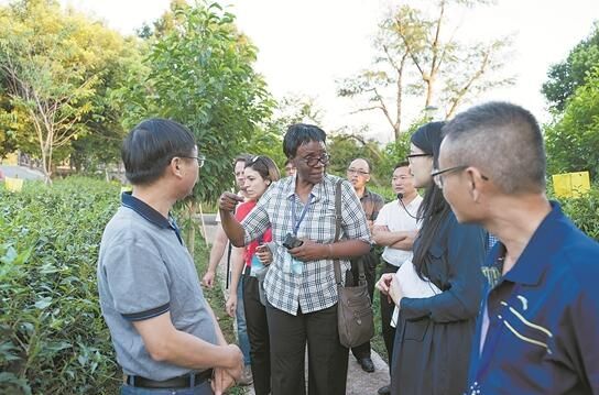关于安溪茶叶享誉世界的最新消息