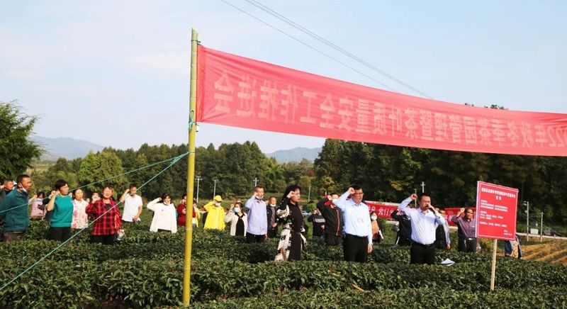 关于守护茶叶质量安全！湄潭洗马镇全力推进秋冬季茶园管理的资讯(1)