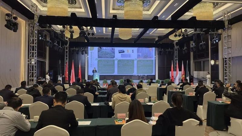 关于中国荣县茶产业向印尼、越南等多国驻华使节及茶商伸出橄榄枝的相关内容
