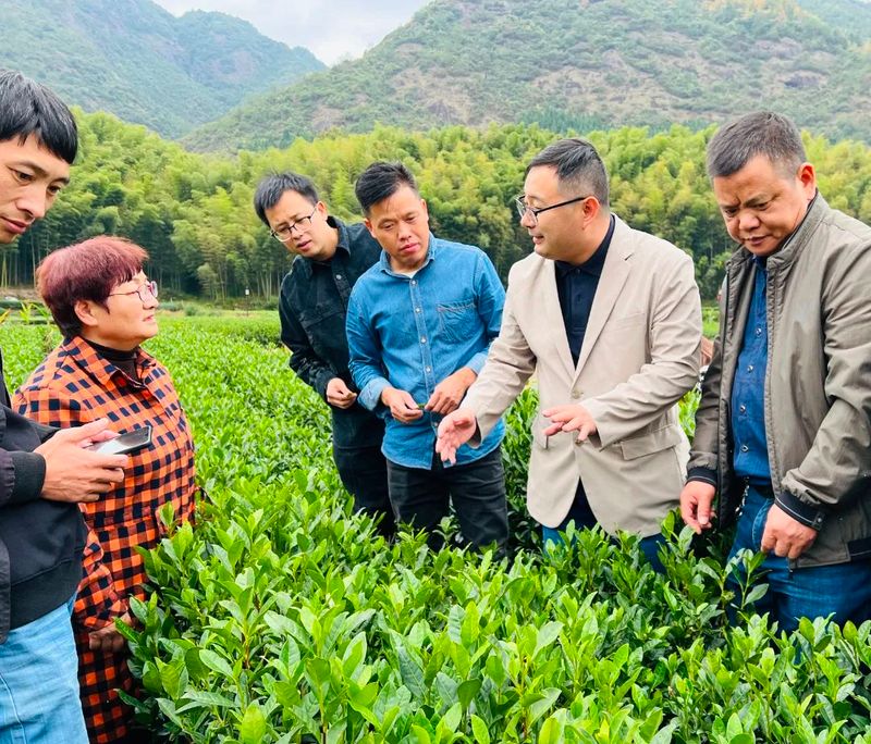 有关于武义县茶协组织开展“茶二代”学习党的二十大精神暨提升茶叶知识与创新能力培训会的相关内容(3)
