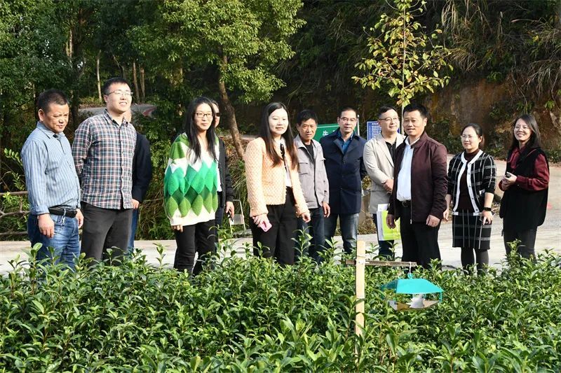 关于科技赋能 助力武义茶产业优质高效发展的新闻(2)