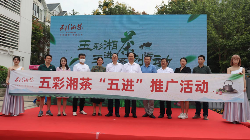有关于区域公共品牌如何快速出圈？看五彩湘茶的出彩之处的内容(7)