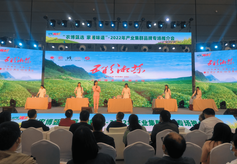 有关于区域公共品牌如何快速出圈？看五彩湘茶的出彩之处的内容(4)