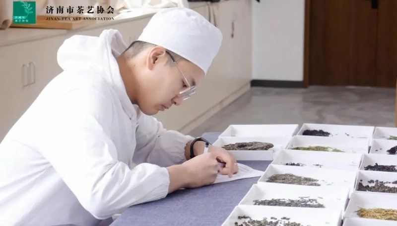 关于2022济南市“技能月”茶艺、评茶行业职业技能大赛决赛圆满落幕！的相关信息(16)