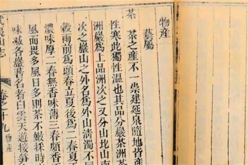 关于武夷岩茶的“三坑两涧”最早是谁提出来的？的最新消息(12)