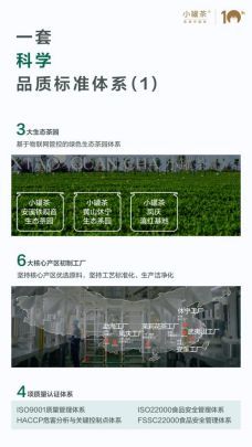 关于第二十届中国食品安全大会召开，对高质量茶的探索的消息(1)