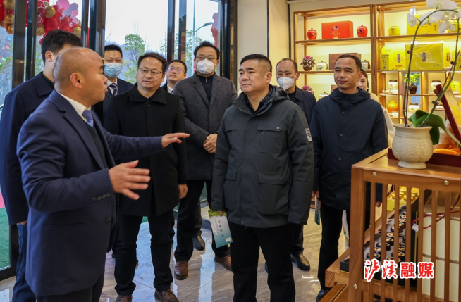 关于泸溪县举行茶叶产业发展工作领导小组办公室揭牌仪式的资讯(1)