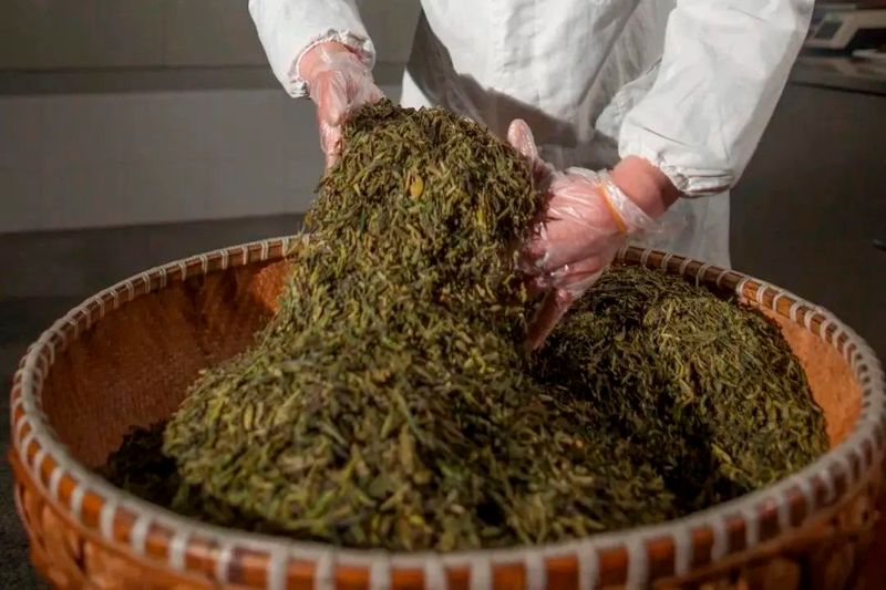 有关于聚焦茶非遗！何谓“一壶水煮三省茶”？的相关内容(1)