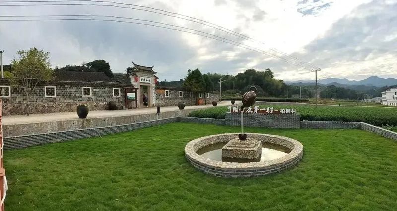 有关于柏柳村：茶业发展的振兴之路的相关信息(1)