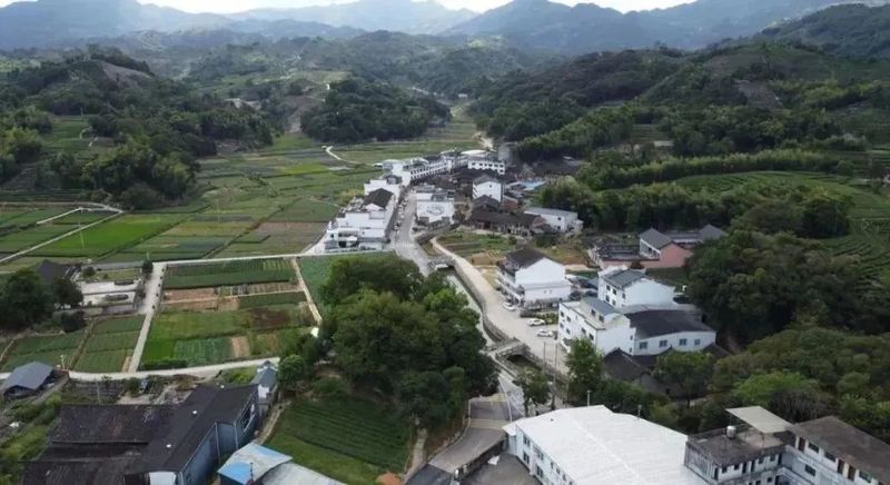 有关于柏柳村：茶业发展的振兴之路的相关信息