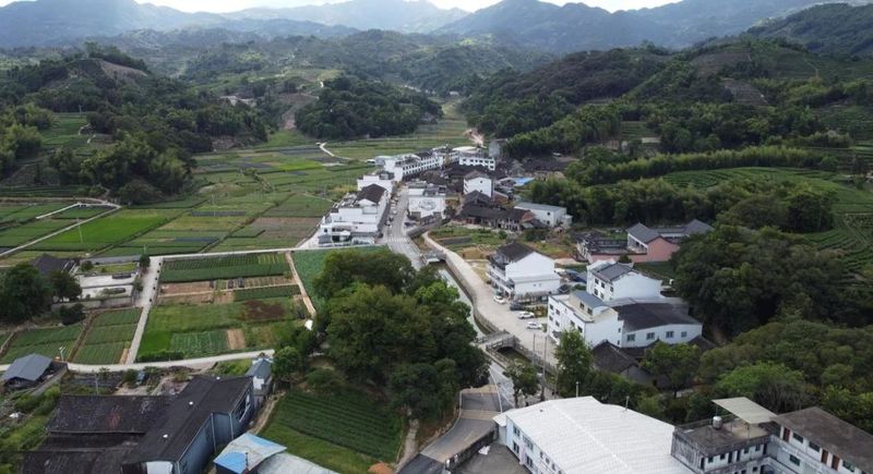 有关于福鼎市点头镇柏柳村——中国白茶第一村的振兴之路的相关内容