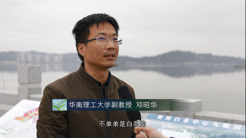 有关于福鼎吹响建设“世界白茶中心”冲锋号！的资讯(4)