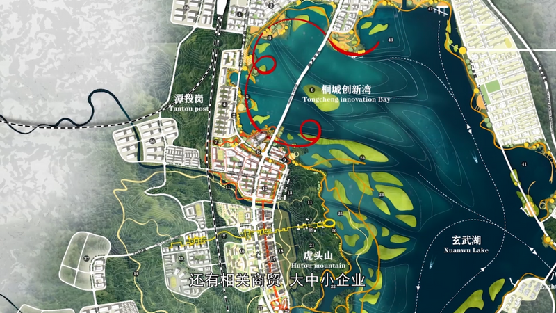 有关于福鼎吹响建设“世界白茶中心”冲锋号！的资讯(2)
