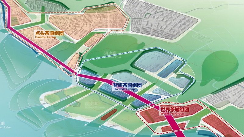 有关于福鼎吹响建设“世界白茶中心”冲锋号！的资讯(1)