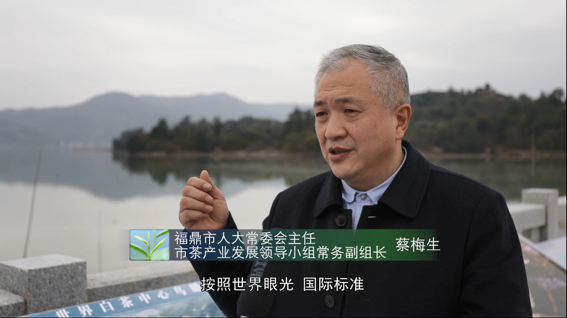 有关于福鼎吹响建设“世界白茶中心”冲锋号！的资讯(7)