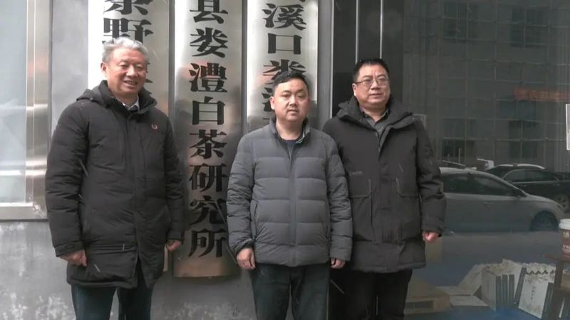 有关于娄澧桑植白茶茶叶产业表彰大会举行的内容(1)
