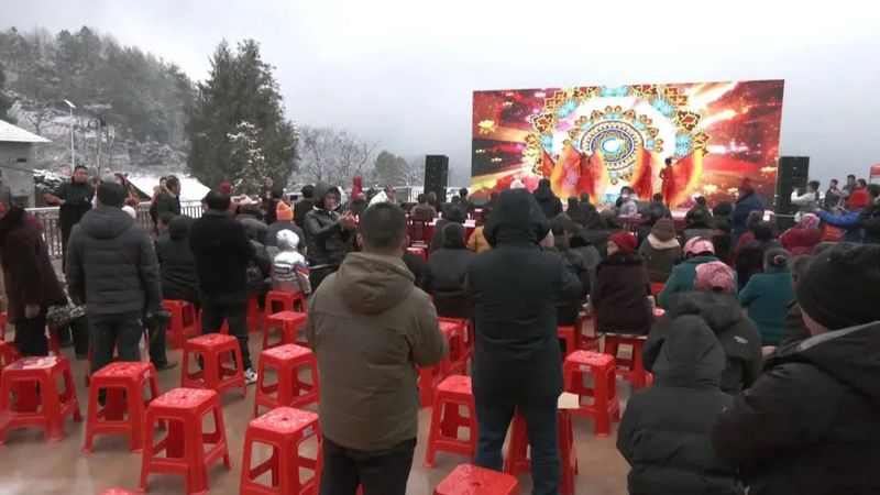 有关于娄澧桑植白茶茶叶产业表彰大会举行的内容
