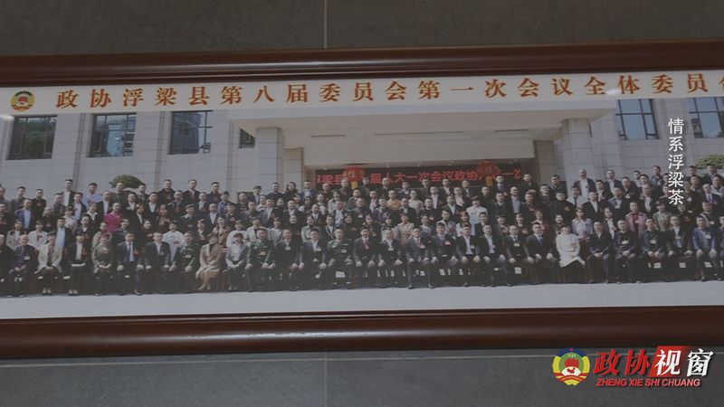 有关于《政协视窗》委员风采：情系浮梁茶的内容(6)