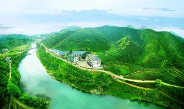 关于湖南红茶“十大产品品牌”之古楼红茶：一缕茶香雪峰来的最新消息