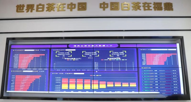 关于福鼎白茶走向世界的资讯(5)
