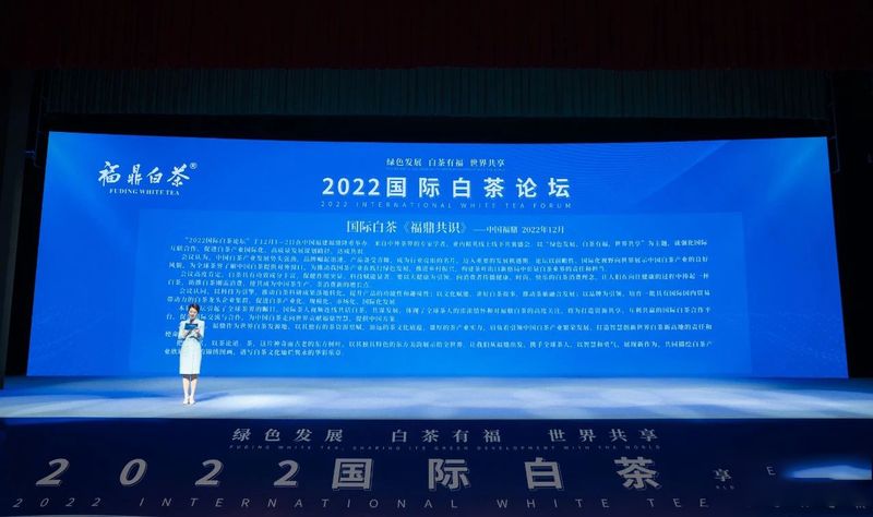 关于福鼎白茶走向世界的资讯(1)