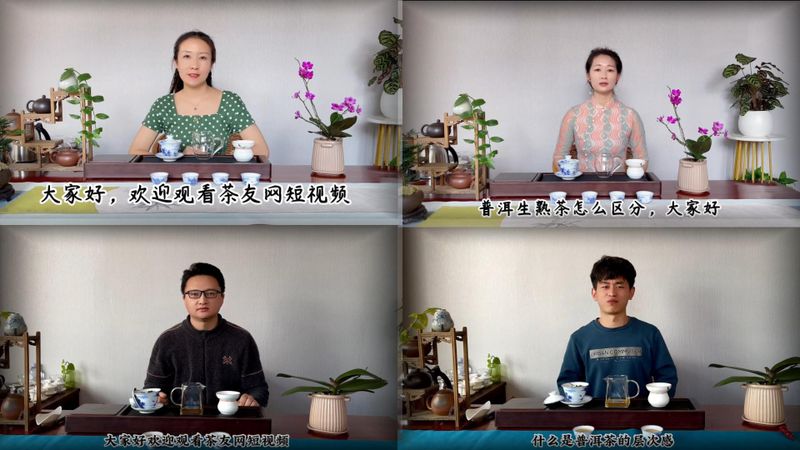 有关于2022年茶友网视频盘点：整理当下 更新未来的资讯(2)