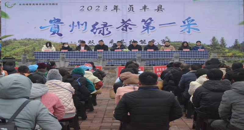关于贞丰举办2023年“贵州绿茶第一采暨双手采茶技能竞赛”活动的最新消息