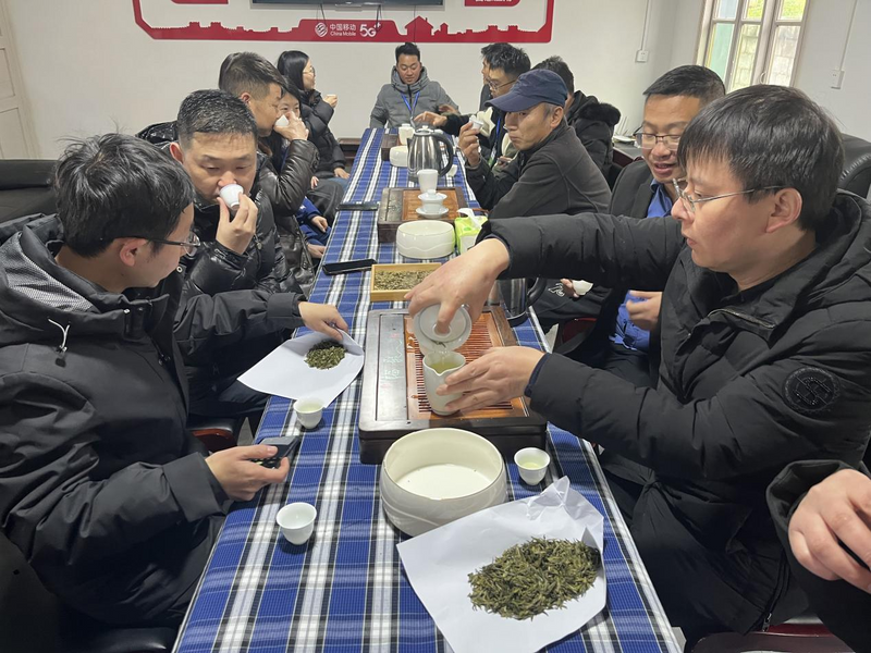 关于贞丰举办2023年“贵州绿茶第一采暨双手采茶技能竞赛”活动的最新消息(5)