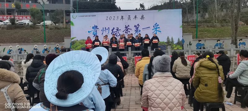 关于贞丰举办2023年“贵州绿茶第一采暨双手采茶技能竞赛”活动的最新消息(3)