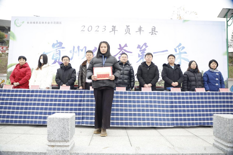 关于贞丰举办2023年“贵州绿茶第一采暨双手采茶技能竞赛”活动的最新消息(4)