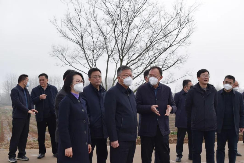 有关于仪征市领导调研仪征市茶产业发展工作的内容