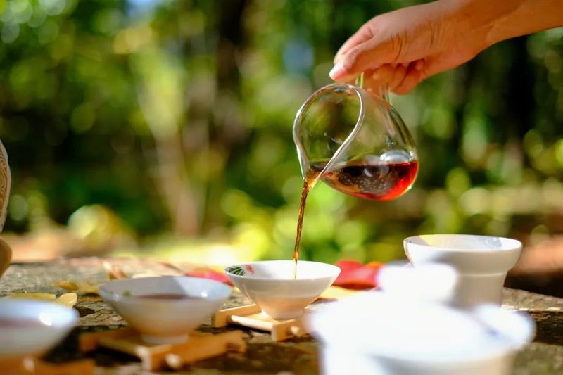 有关于思茅茶山游，云端秘境，与茶伴居的信息(3)