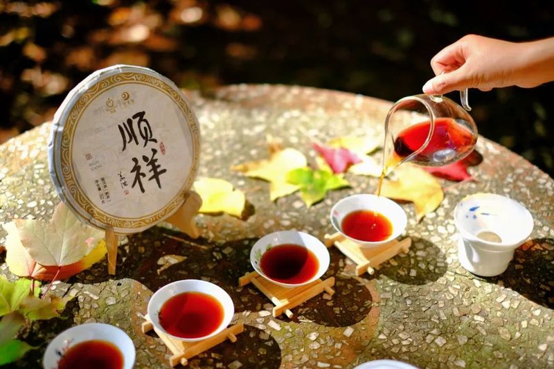 有关于思茅茶山游，云端秘境，与茶伴居的信息(4)